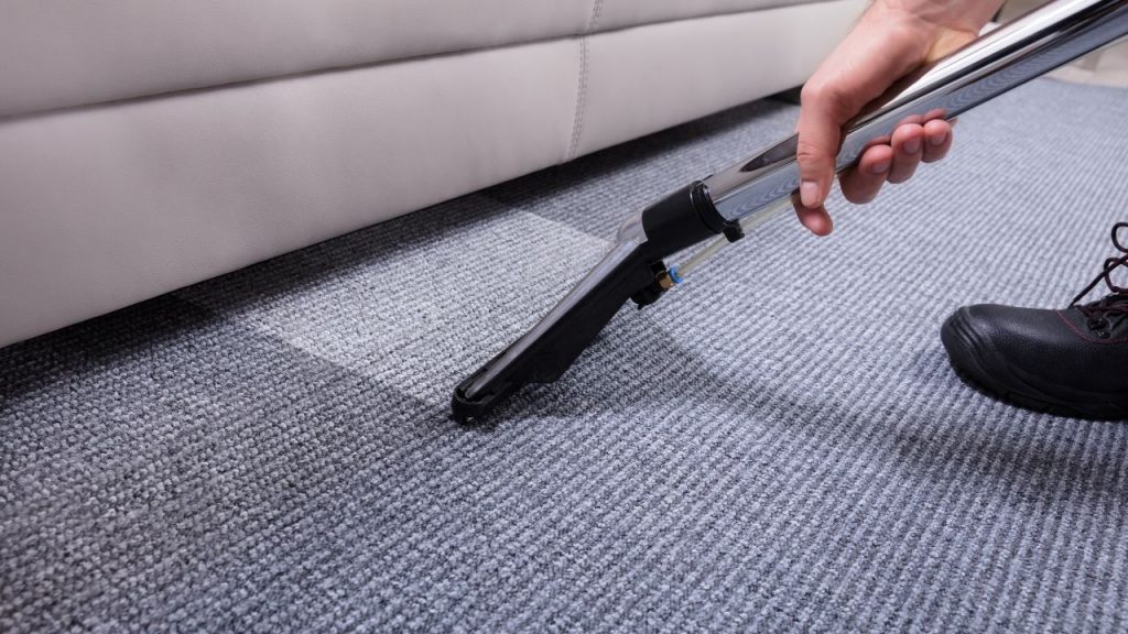 How to Dry Carpet Fast After Cleaning: 5 Methods to Follow